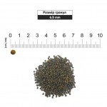 Сухой корм для котят 1st Choice Kitten Optimal Growth рыба