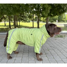 Дощовик Dogs Bomba Спорт на флiсi салатовий MF-32