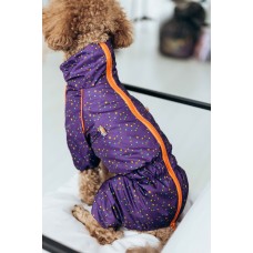 Дощовик Dogs Bomba кант зiрочки фiолет M-98
