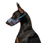 WAUDOG Nylon Намордник для собак, малюнок "Літо", пластиковий фастекс
