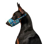 WAUDOG Nylon Намордник для собак, малюнок "ВАУ", пластиковий фастекс