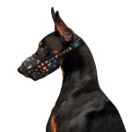 WAUDOG Nylon Намордник для собак, малюнок "NASA", пластиковий фастекс