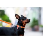 WAUDOG Waterproof Ошейник для собак водостойкий c QR-паспортом, металлическая пряжка-фастекс, оранжевый