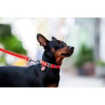 WAUDOG Waterproof Ошейник для собак водостойкий c QR-паспортом, металлическая пряжка-фастекс, красный