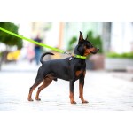 WAUDOG Waterproof Ошейник для собак водостойкий c QR-паспортом, металлическая пряжка-фастекс, салатовый