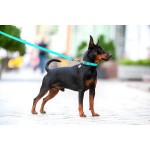 WAUDOG Waterproof Ошейник для собак водостойкий c QR-паспортом, светящийся, металлическая пряжка-фастекс