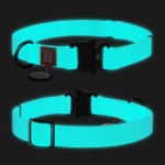 WAUDOG Waterproof Ошейник для собак водостойкий c QR-паспортом, светящийся, металлическая пряжка-фастекс