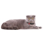 WAUDOG Re-cotton Нашийник для котів та дрібних порід собак з відновленої бавовни з QR паспортом, світловідбивний, пластиковий фастекс, сірий