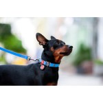 WAUDOG Waterproof Ошейник для собак водостойкий c QR-паспортом, металлическая пряжка-фастекс, голубой