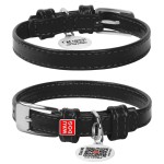 WAUDOG Glamour Ошейник для собак кожаный с QR паспортом, без украшений, черный
