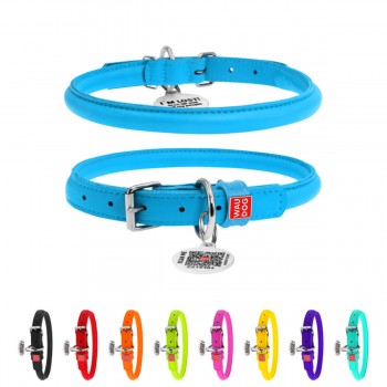 WAUDOG Glamour Нашийник для собак шкіряний з QR паспортом, круглий, блакитний