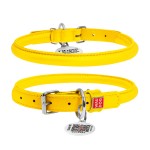 WAUDOG Glamour Ошейник для собак кожаный с QR паспортом, круглый, желтый