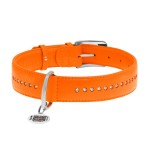 WAUDOG Glamour Нашийник для собак шкіряний з QR паспортом, подвійний зі стразами, помаранчевий