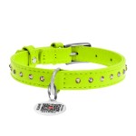 WAUDOG Glamour Ошейник для собак кожаный с QR паспортом, с клеевыми стразами, салатовый WAUDOG Glamour Ошейник для собак кожаный с QR паспортом, с клеевыми стразами, салатовый