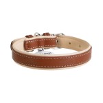 WAUDOG Soft Нашийник для собак шкіряний з QR паспортом