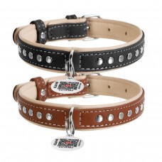WAUDOG Soft Нашийник для собак шкіряний з QR паспортом, металеві прикраси
