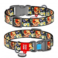 WAUDOG Nylon Нашийник для собак нейлоновий з QR паспортом, малюнок "Гламурні черепи", пластиковий фастекс