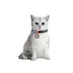 WAUDOG Nylon Нашийник для котів нейлоновий з QR паспортом, малюнок "Етно синій", пластиковий фастекс