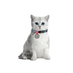WAUDOG Nylon Ошейник для котов нейлоновый c QR паспортом, рисунок "Этно синий", пластиковый фастекс WAUDOG Nylon Ошейник для котов нейлоновый c QR паспортом, рисунок "Этно синий", пластиковый фастекс