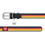 WAUDOG Design Ошейник с рисунком "Линии", премиум кожа, металлическая пряжка, черный