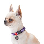 WAUDOG Nylon Нашийник для собак нейлоновий з QR паспортом, малюнок "Фіолетовий камо", металева пряжка-фастекс