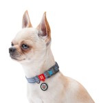 WAUDOG Re-cotton Ошейник для собак из восстановленного хлопка с QR паспортом, светоотражающий, пластиковый фастекс, синий