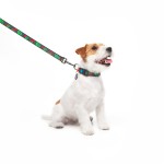 WAUDOG Nylon Нашийник для собак нейлоновий з QR-паспортом, малюнок "Калина", пластиковий фастекс