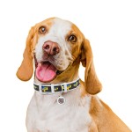 WAUDOG Design Ошейник для собак кожаный с QR паспортом, рисунок "Дом", белый