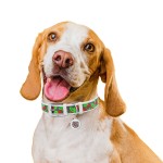 WAUDOG Design Ошейник для собак кожаный с QR паспортом, рисунок "Калина", белый