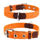 CoLLar Ошейник х/б тесьма, оранжевый