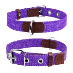 CoLLar Ошейник х/б тесьма, фиолетовый