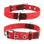 CoLLar Ошейник х/б тесьма, красный