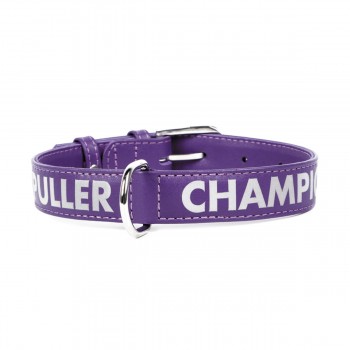 DOG PULLER CHAMPION Ошейник фиолетовый