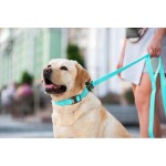 WAUDOG Waterproof Повідець для собак водостійкий, що світиться