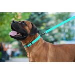 WAUDOG Waterproof Повідець для собак водостійкий, що світиться