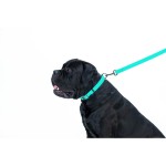 WAUDOG Waterproof Повідець для собак водостійкий, що світиться