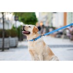 WAUDOG Waterproof Поводок для собак водостойкий, голубой
