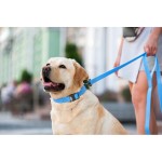 WAUDOG Waterproof Поводок для собак водостойкий, голубой