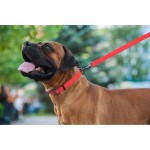 WAUDOG Waterproof Поводок для собак водостойкий, красный