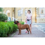 WAUDOG Waterproof Повідець для собак водостійкий, рожевий