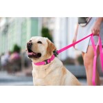 WAUDOG Waterproof Повідець для собак водостійкий, рожевий