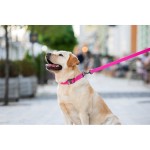 WAUDOG Waterproof Повідець для собак водостійкий, рожевий