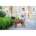 WAUDOG Waterproof Поводок для собак водостойкий, салатовый