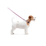WAUDOG Nylon Поводок для собак нейлоновый, светящийся/светоотражающий, розовый