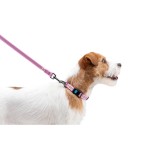 WAUDOG Nylon Поводок для собак нейлоновый, светящийся/светоотражающий, розовый