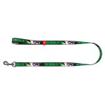 WAUDOG Nylon Повідець для собак нейлоновий, малюнок "Загадник"