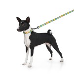 WAUDOG Nylon Повідець для собак нейлоновий, малюнок "Рік та Морті 1"