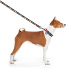 WAUDOG Nylon Повідець для собак нейлоновий, малюнок "Рік та Морті 3"