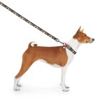 WAUDOG Nylon Повідець для собак нейлоновий, малюнок "Рік та Морті 3"