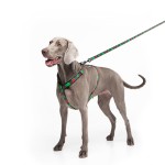 WAUDOG Nylon Поводок для собак нейлоновый рисунок "Калина"